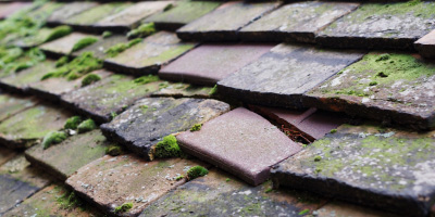 Foxton roof repair costs
